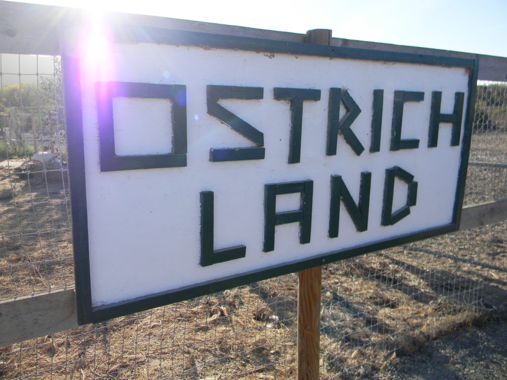 Ostrich Land Sign 