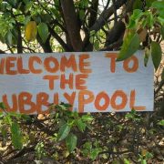 BVI TOURS: A Fuzzy Bubbly Pool on Jost Van Dyke and Guana Island Beach Sail!